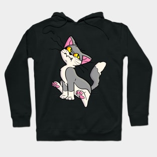 Suspicious Gray Cat Hoodie